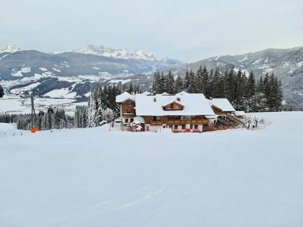 Bild von Nadja Baumann