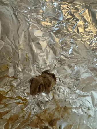 Bild von Mega Kebap