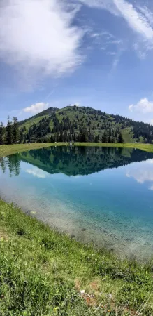 Bild von Michael Niksch