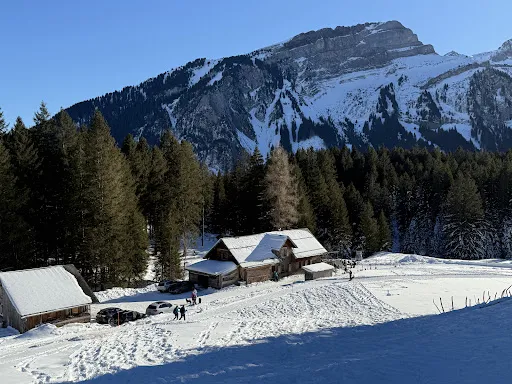 Bild von Skihaus Gamperfin