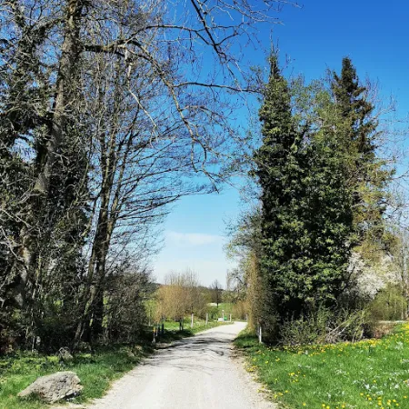 Bild von Restaurant THE GREEN