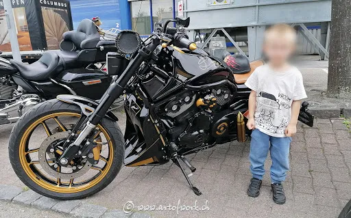 Bild von Grill 66