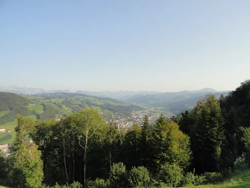 Bild von Freudenberg