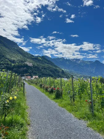 Bild von Hofkellerei des Fürsten von Liechtenstein