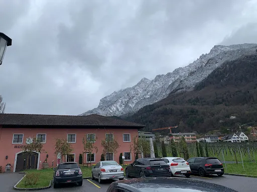 Bild von Hofkellerei des Fürsten von Liechtenstein