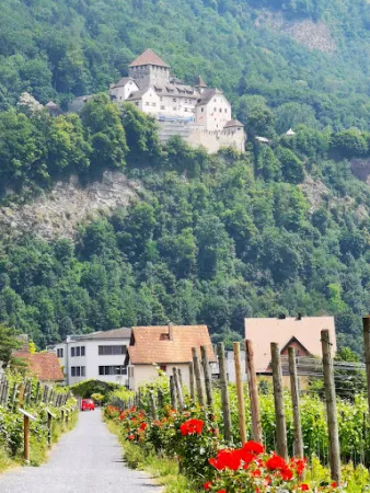 Bild von Hofkellerei des Fürsten von Liechtenstein