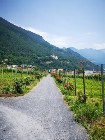 Bild von Hofkellerei des Fürsten von Liechtenstein