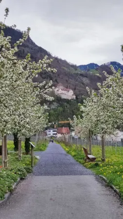 Bild von Hofkellerei des Fürsten von Liechtenstein