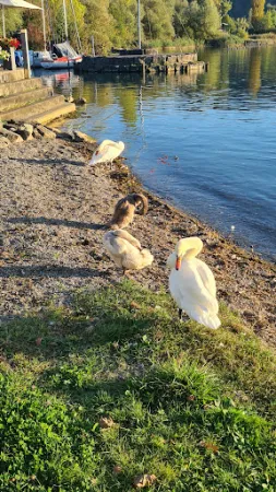 Bild von Restaurant Pier 8716