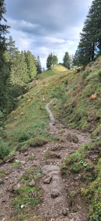 Bild von Alpbeizli Bütz