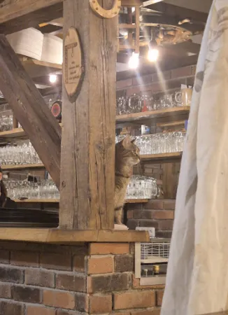 Bild von Gasthaus zur Grünen Laterne