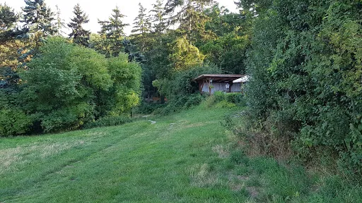 Bild von Gasthaus Lindwurm