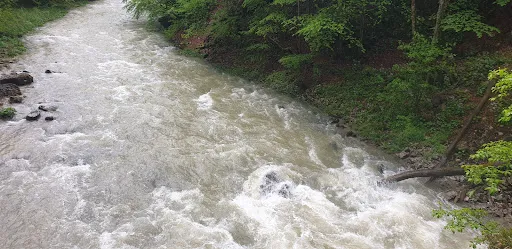 Bild von Trefflingfall