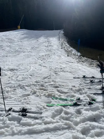 Bild von 11er Alm