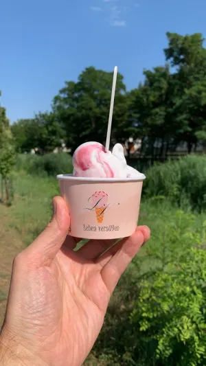 Eisbulle