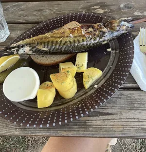 B10 STECKERLFISCH&MORE