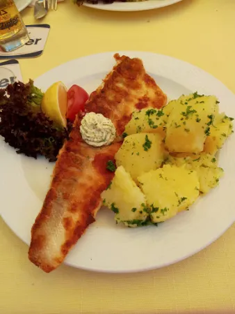 Bild von Gasthaus Binder Urlaub bis 19.Februar