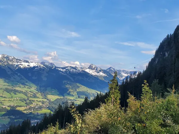 Bild von Gabriele Fritsch-Lehna