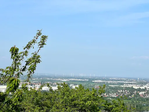 Bild von Der Hirt