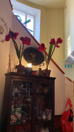 Bild von Osteria Allora