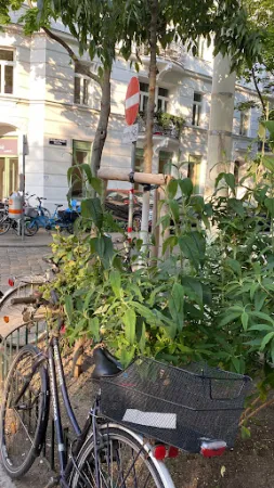 Bild von Osteria Allora