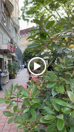 Bild von Osteria Allora