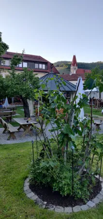 Bild von Weingut & Heuriger Richard Lentner