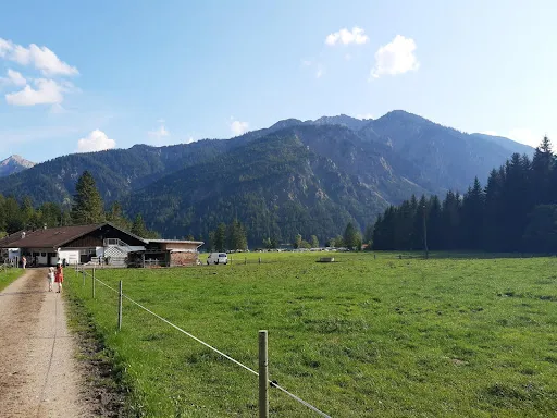Bild von MusterAlpe Plansee