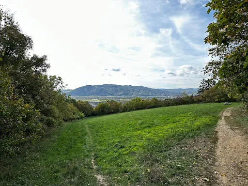 Bild von Magdalenenhof