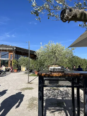 Bild von Café Restaurant Oktogon AM HIMMEL