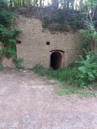 Bild von Donauweibchen