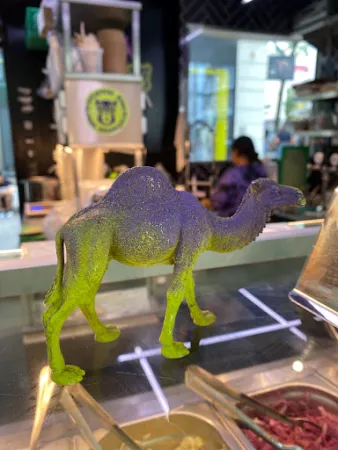 Bild von Electro Camel