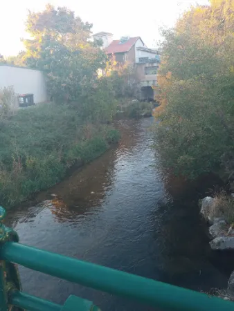 Bild von Weinheuriger-Weingut Gaitzenauer