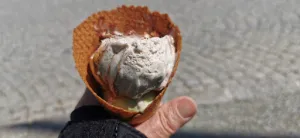 Ice Eis baby