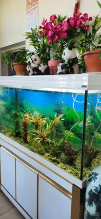 Bild von China-Restaurant Sinohaus