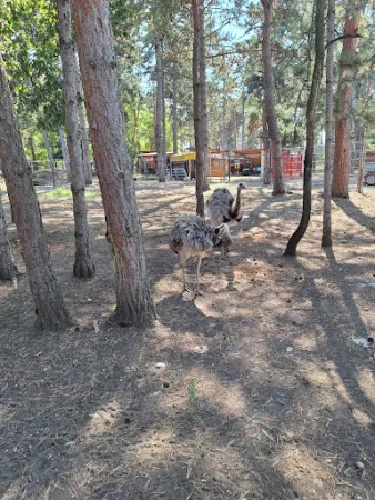 Bild von Grill Ranch