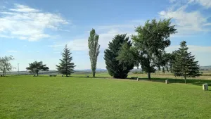 Baumkreiskeller - Baumkreis Veltlinerland