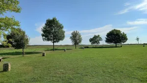 Baumkreiskeller - Baumkreis Veltlinerland