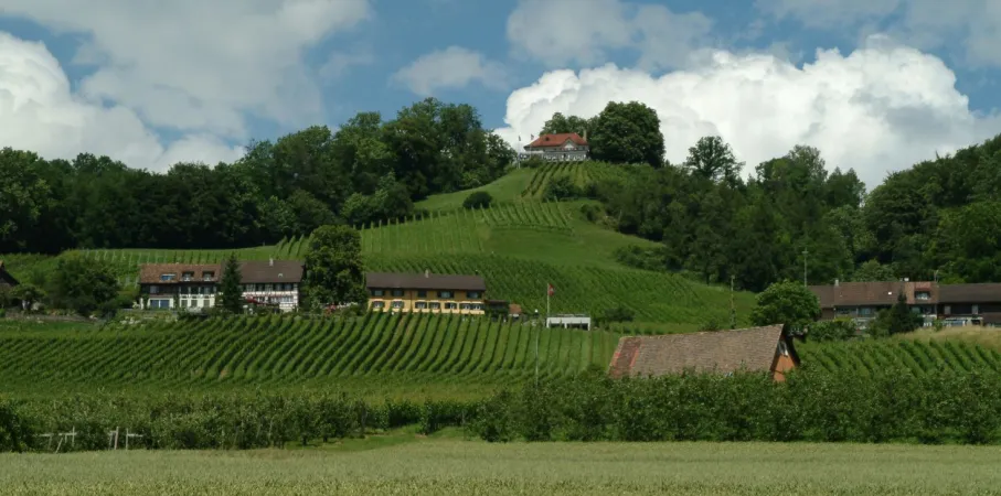 Bild von Restaurant Thurberg