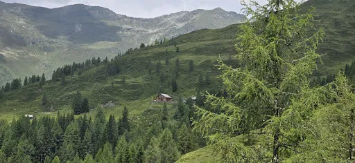 Bild von Unteralm, Weneberger Alm