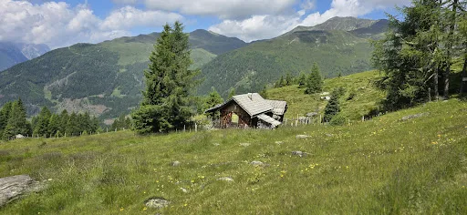 Bild von Unteralm, Weneberger Alm
