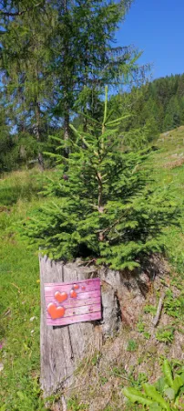 Bild von Unteralm, Weneberger Alm