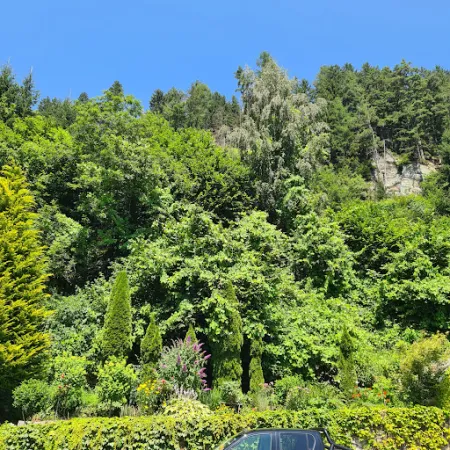Gasthof zur Hohenburg