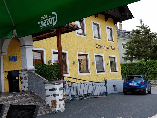 Bild von Trebesinger Wirt