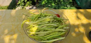 Agriturismo Ristoro ai Gelsi