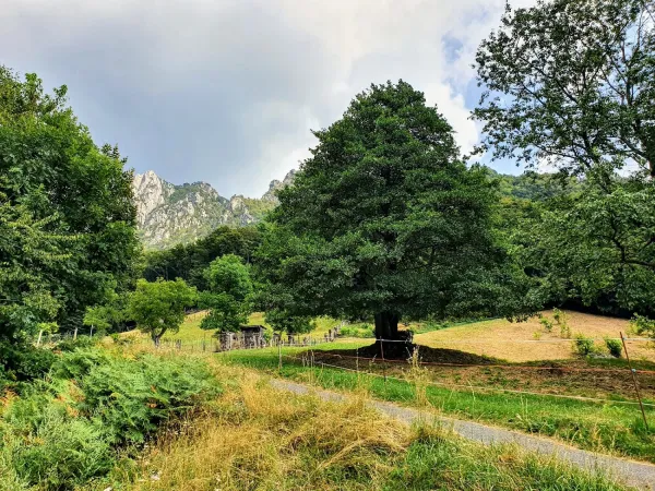 Bild von Christian Bettoni