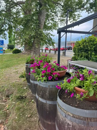Bild von Bar Gazebo