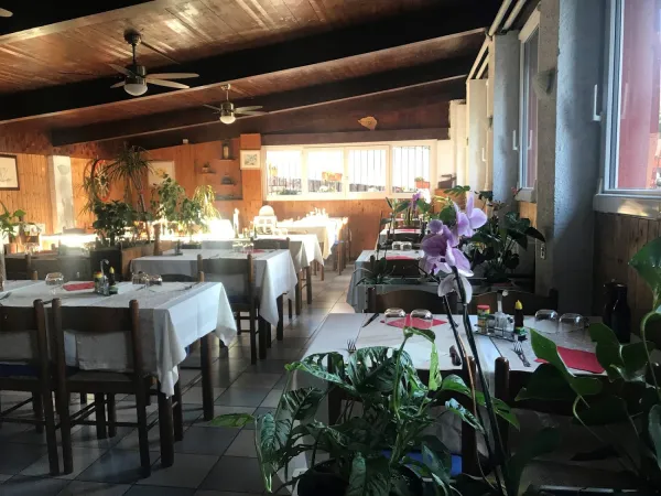 Bild von Ristorante Giardino- Pizzeria|Ristorante con specialità balcaniche