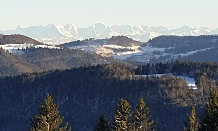 Bild von Restaurant Les Places