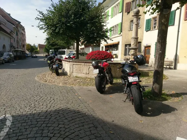 Bild von Gül B.
